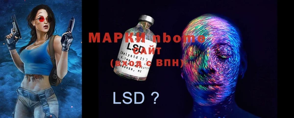 PSILOCYBIN Волосово