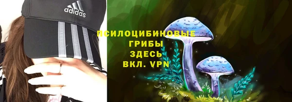эйфоретик Кулебаки