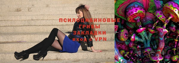 мяу мяу мука Куйбышев