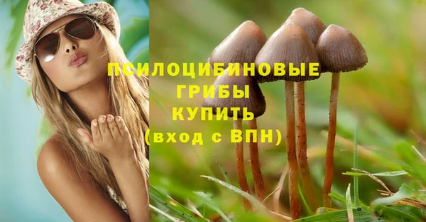 PSILOCYBIN Волосово